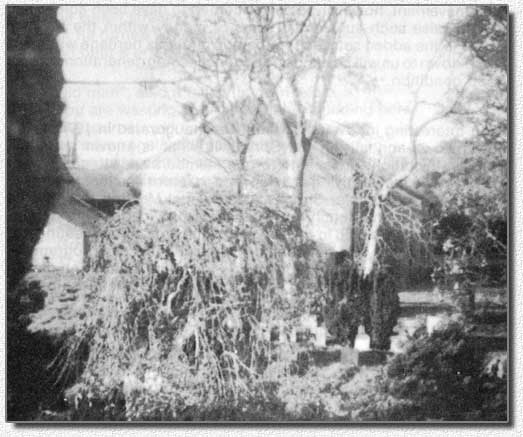 Burial Ground and rear of the Richhill Meeting House, 1950