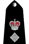 Insignia of Chief Superintendent