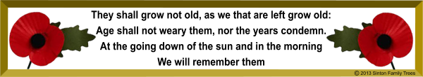 Poppy Banner